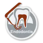 Praxisklinik Bartsch - Endodontie in Karlsruhe